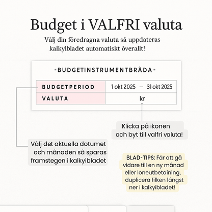 Budgeteringsmall för Google Sheets (helt anpassningsbar)
